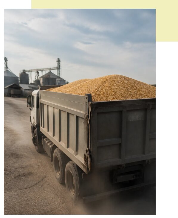 Перевозка сельхозпродукции навалом в Кирово-Чепецк по цене от 3262 р. | Агросервис-Крв